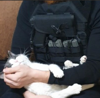 Avatar de l’utilisateur